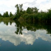 Ex Cave di Casale - Vicenza