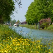Fiume Brenta dal confine trentino a Cismon del Grappa
