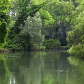 Fiume Sile: Sile Morto e ansa a S. Michele Vecchio