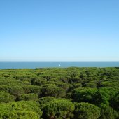 Laguna del Mort e Pinete di Eraclea
