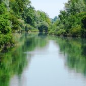 Lido di Venezia: biotopi litoranei