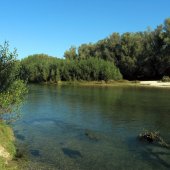 Grave e Zone Umide della Brenta